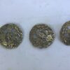 Sierlijke schildjes doorsnee 8 cm