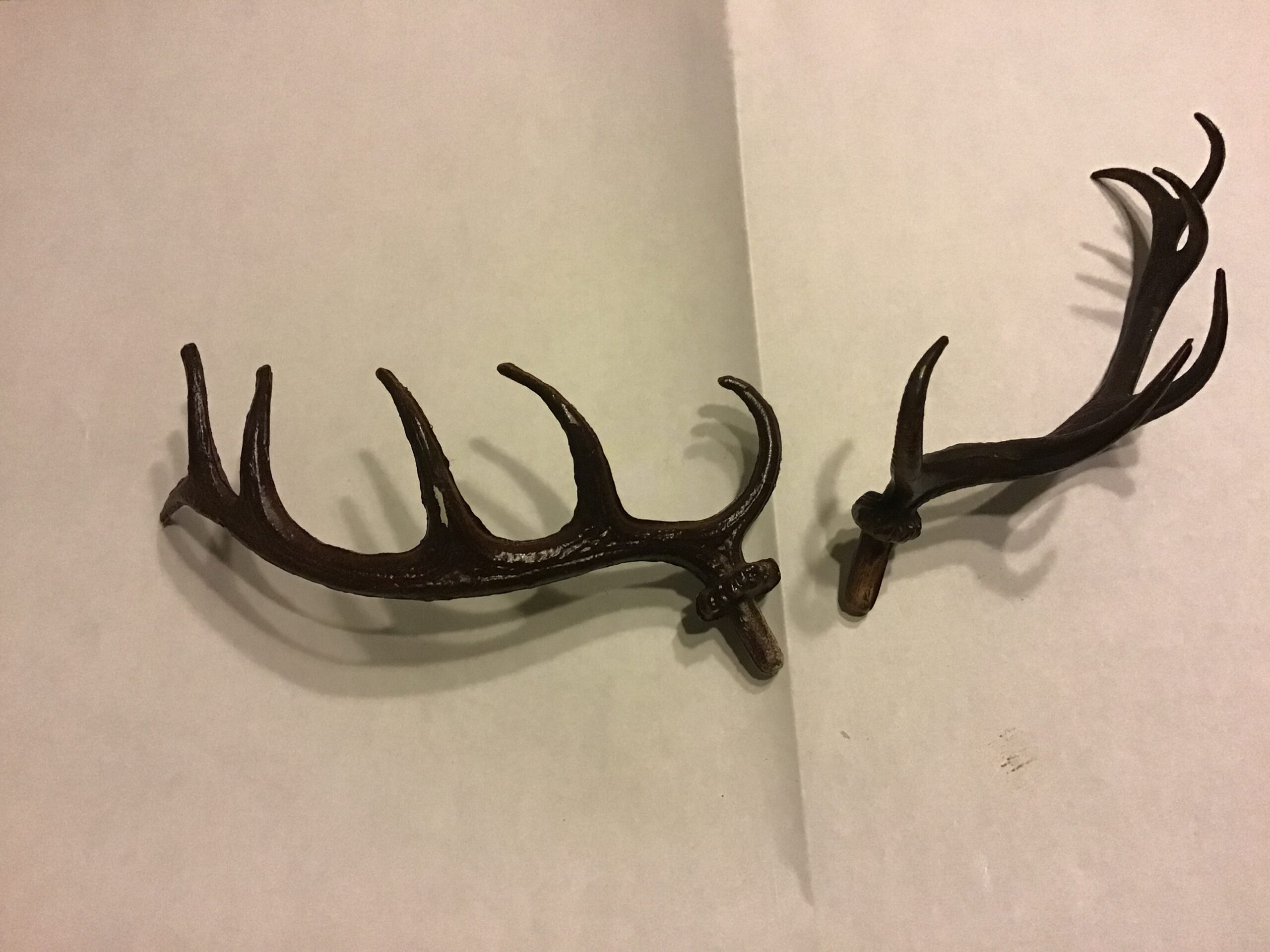 Gewei voor hert 2 stuks lang 10 x 4 cm