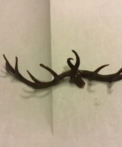 Gewei voor herte kop 6 x 2 cm